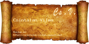 Csintalan Vilma névjegykártya